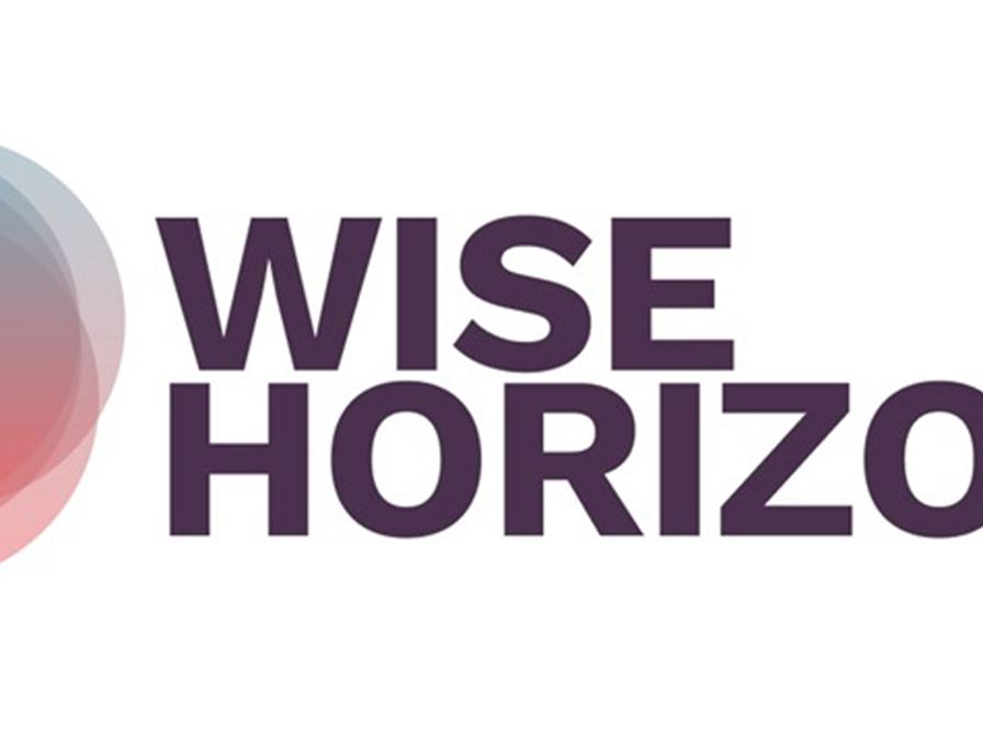 WISE Horizons - Wellbeing, inclusion, sustainability and the economy
