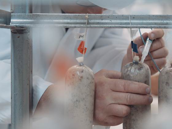 How salt content in processed meat and fish products can be reduced