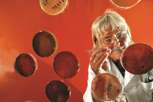 Scientists raise alarm over today’s measures against Legionellosis