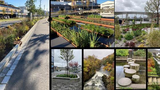 Nytt verktøy gjør det lettere å sammenligne klimatilpasningstiltak