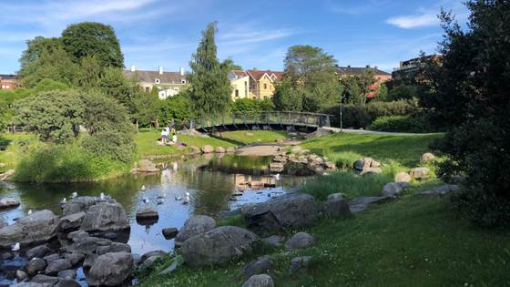 Helsefremmende omgivelser: Kan arkitektur bidra til endring?