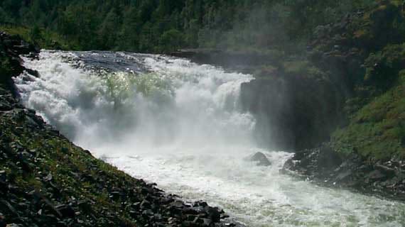 Ecohydraulics-konferansen vender hjem