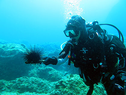 Redder økosystemer i havet langs kysten