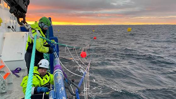 New seaweed farm off the Norwegian coast seeks to remove CO2 from the atmosphere