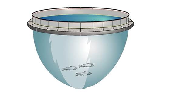 BIOCLOSED - Environmental requirements for good fish welfare and fish health in closed cages in the sea
