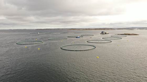 Trans-National Access within AQUAEXCEL3.0