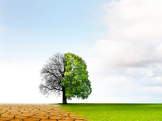 Kunstig intelligens i klimakampen