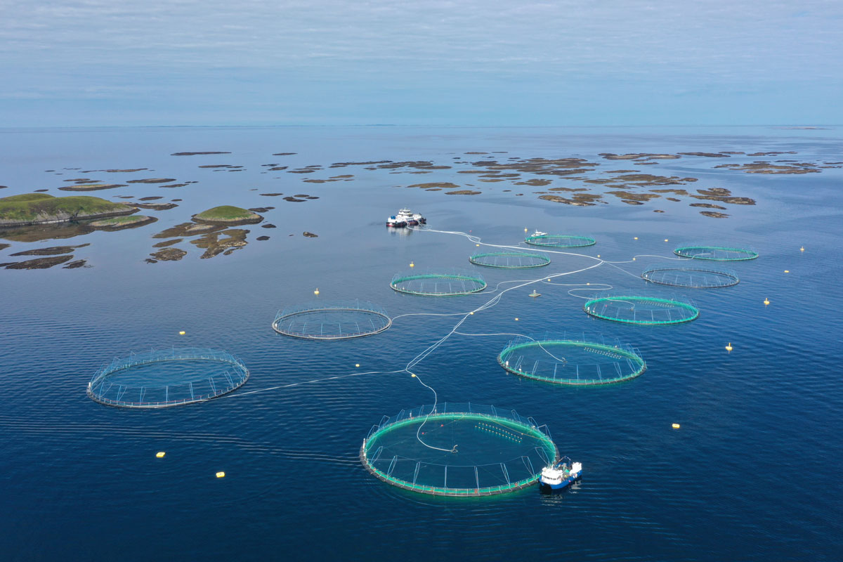 Drone photo of aquaculture site Tristeinen.