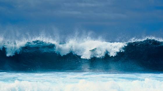 CA17105 - A pan-European Network for Marine Renewable Energy