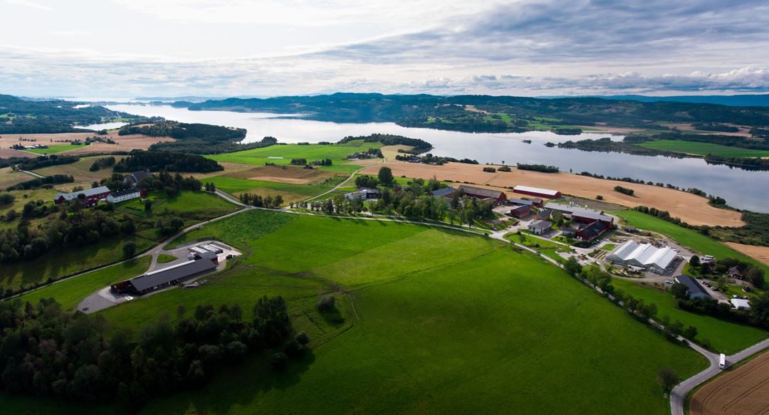 Mære landbruksskole