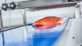 Avbildning av laksefilet med FoodScanner