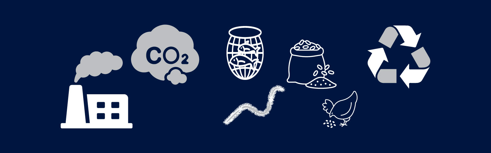 Collection of icons illustrating the project.