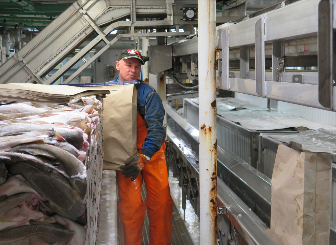 Man working in factory with fish