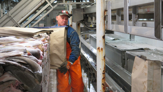 Forsker for å bedre fiskeres arbeidsmiljø