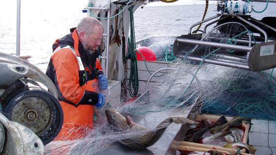 Mer kunnskap om fiskernes helse