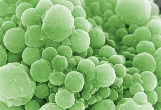 Forskningsgruppe Polymerpartikler og overflatekjemi