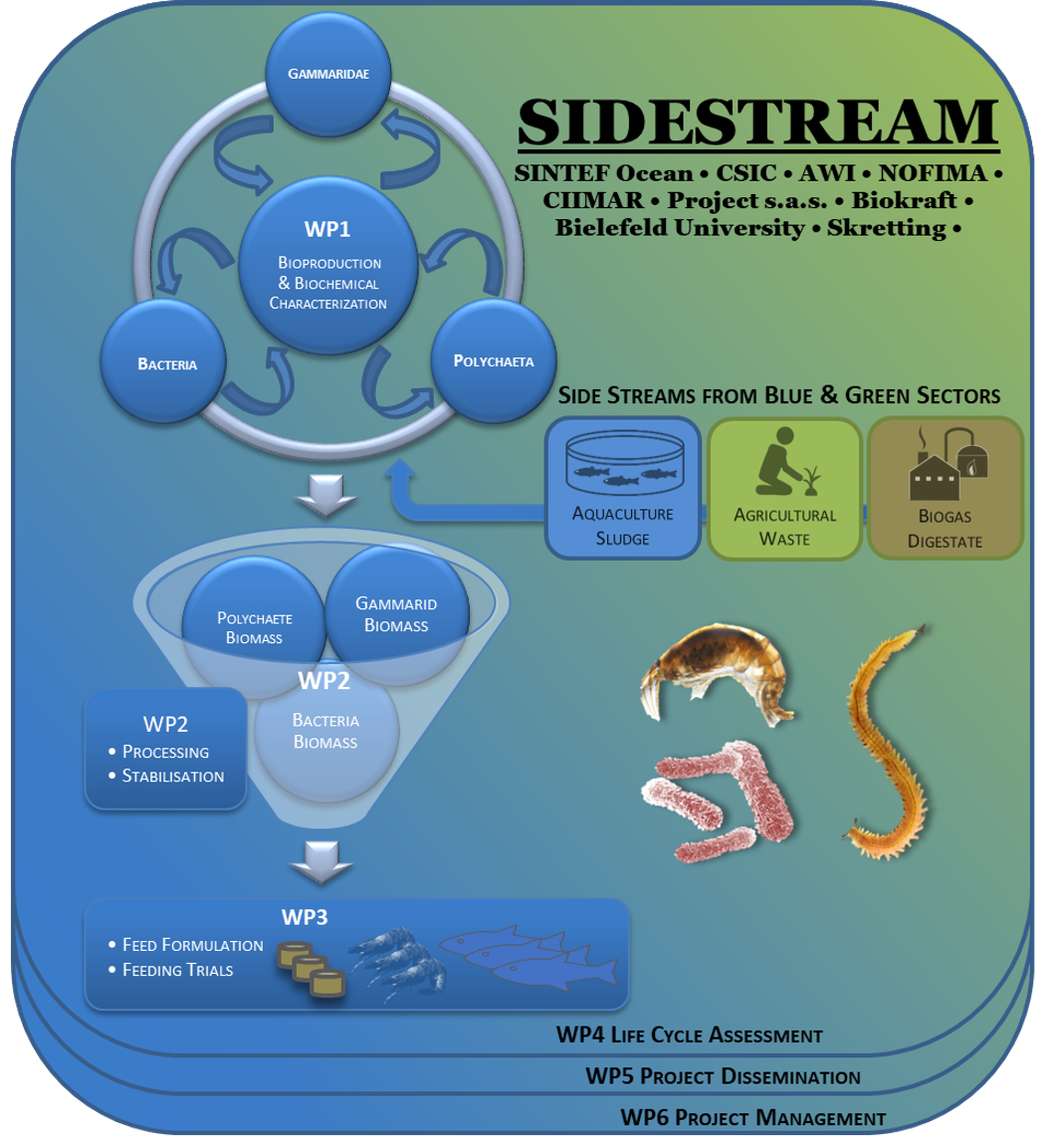 SidestreamSketch.png