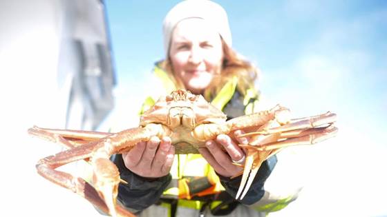 SINTEF Nord i Barentshavet