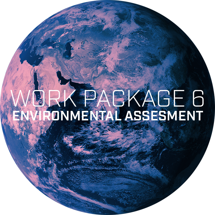 Work Package 6 - Environmental Assesment