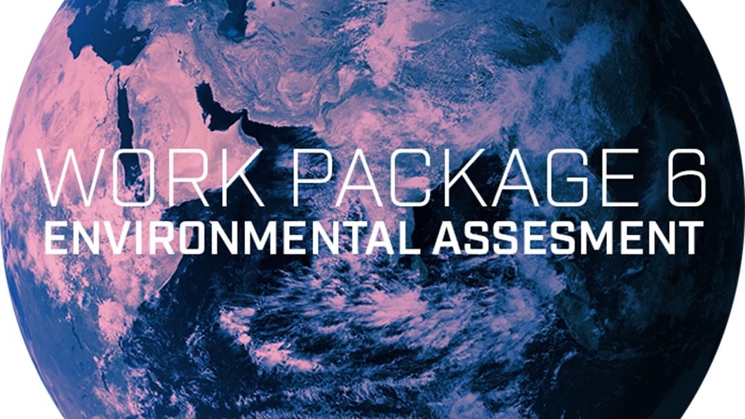 Work Package 6 - Environmental Assesment