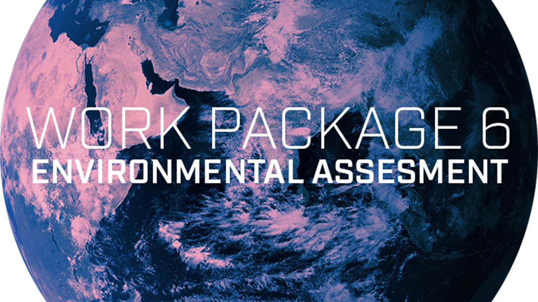 Work Package 6 - Environmental Assesment