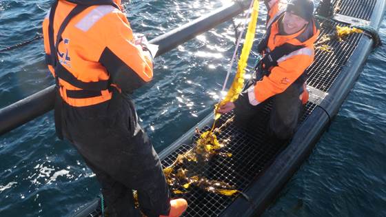 Integrated aquaculture to reduce emissions