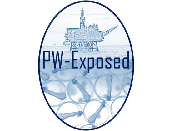 PW-Exposed