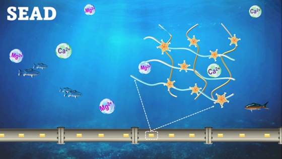 SEAD - Tunable and durable seawater adhesives