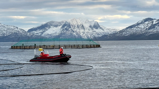 Knowledge and measures to reduce risk for workers in the aquaculture industry