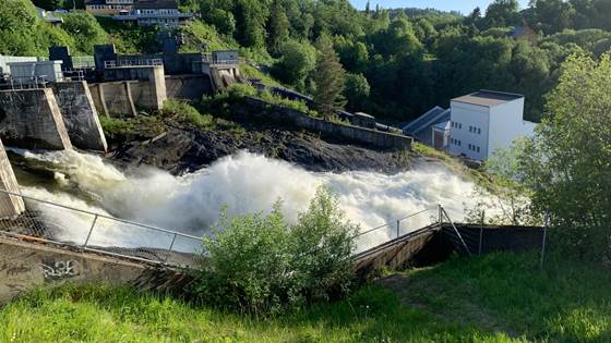 Launch of a new wiki for fish-friendly hydropower plants