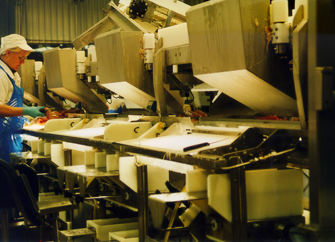 Still good hope for the Norwegian fish-processing industry