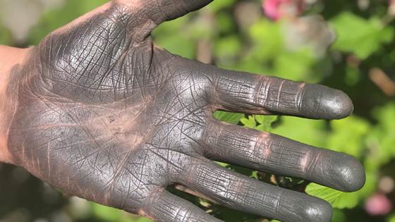 SCINDEEP - Safety Challenges for INdustries: DErmal Exposure to nanosized Particles