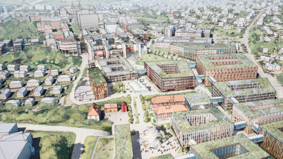 Ombygging til fordrøyende tak