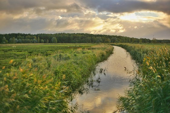 SIDESTREAM - SINTEF