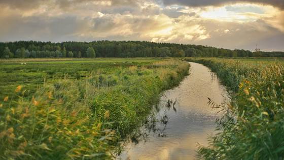SIDESTREAM
