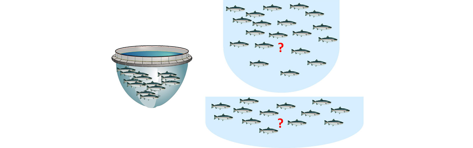 BIOCLOSED – miljøkrav for god fiskevelferd og fiskehelse i lukkede merder i sjø