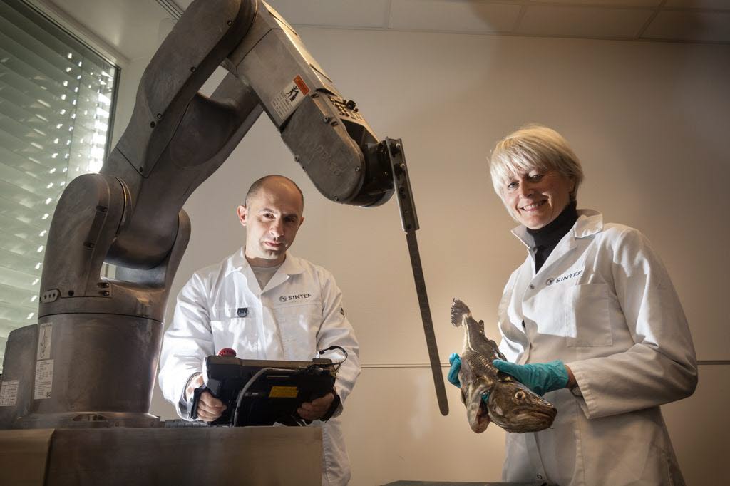 Fiskeforedling på hjemmebane