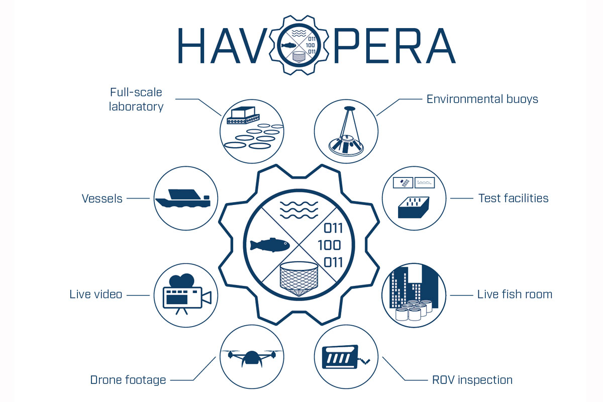 Graphic overview over HAVOPERA.