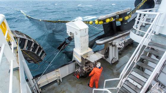 Fishtech med fokus på sentrale utfordringer for fiskeri-Norge