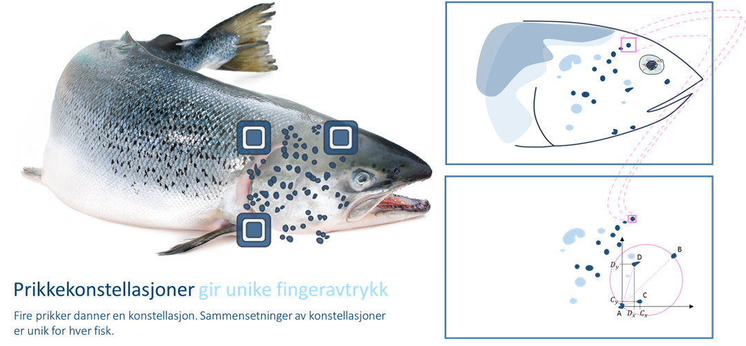 Figur illustrasjon av metode for etablering av prikkekonstellasjoner
