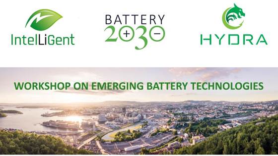 Workshop on Emerging Battery Technologies