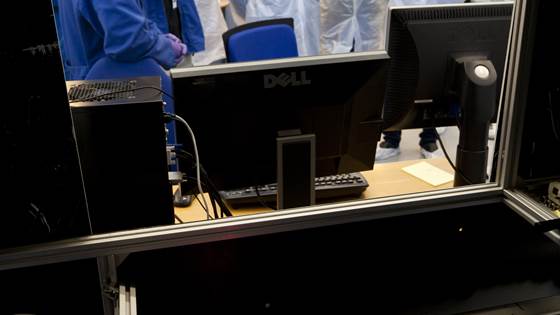 Efficient sorting lines for herring