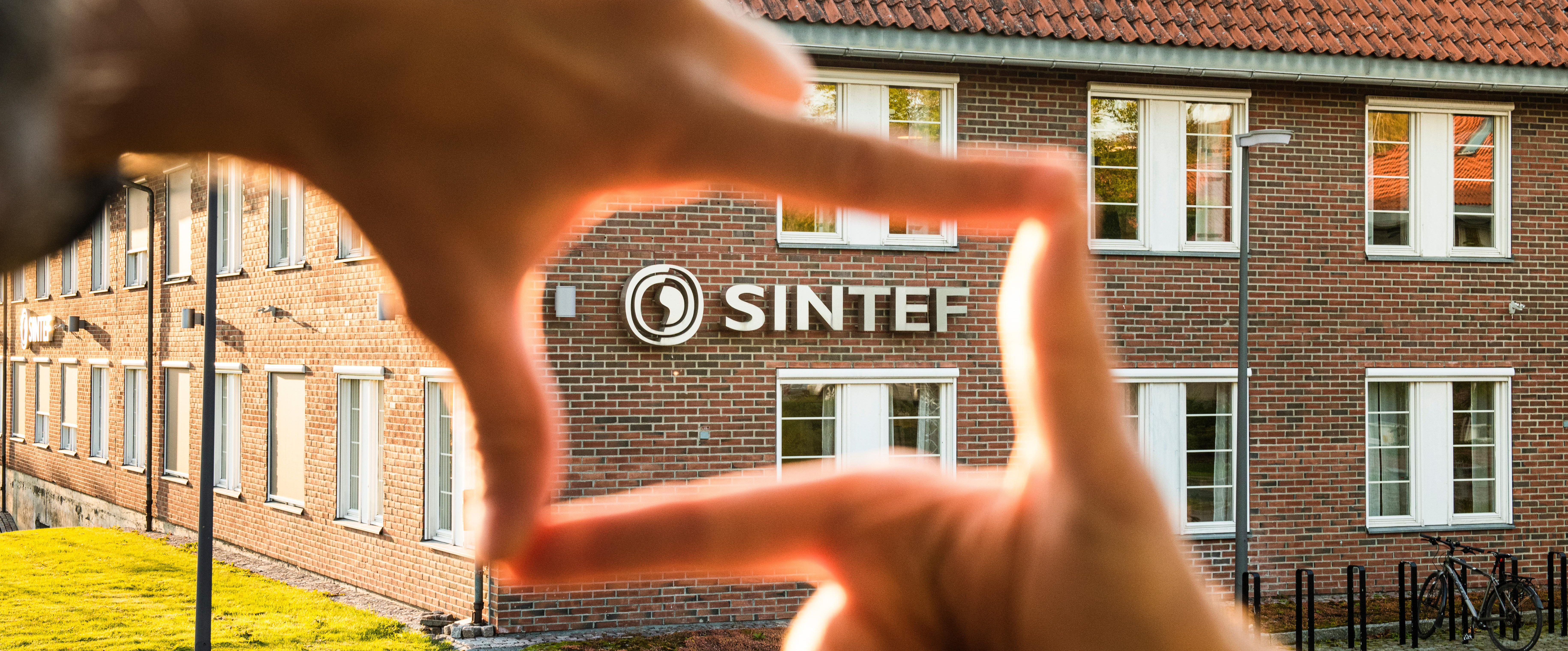 Management and Staff