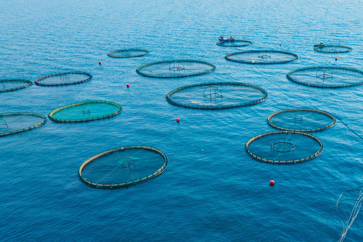 OppSlam - Calculation model for emission and collection of sludge from fish farms at sea