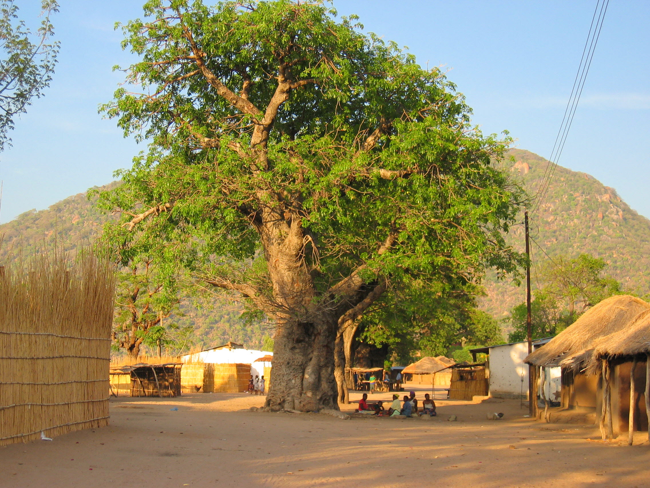 Alcohol and drug use and abuse and its implications in Malawi