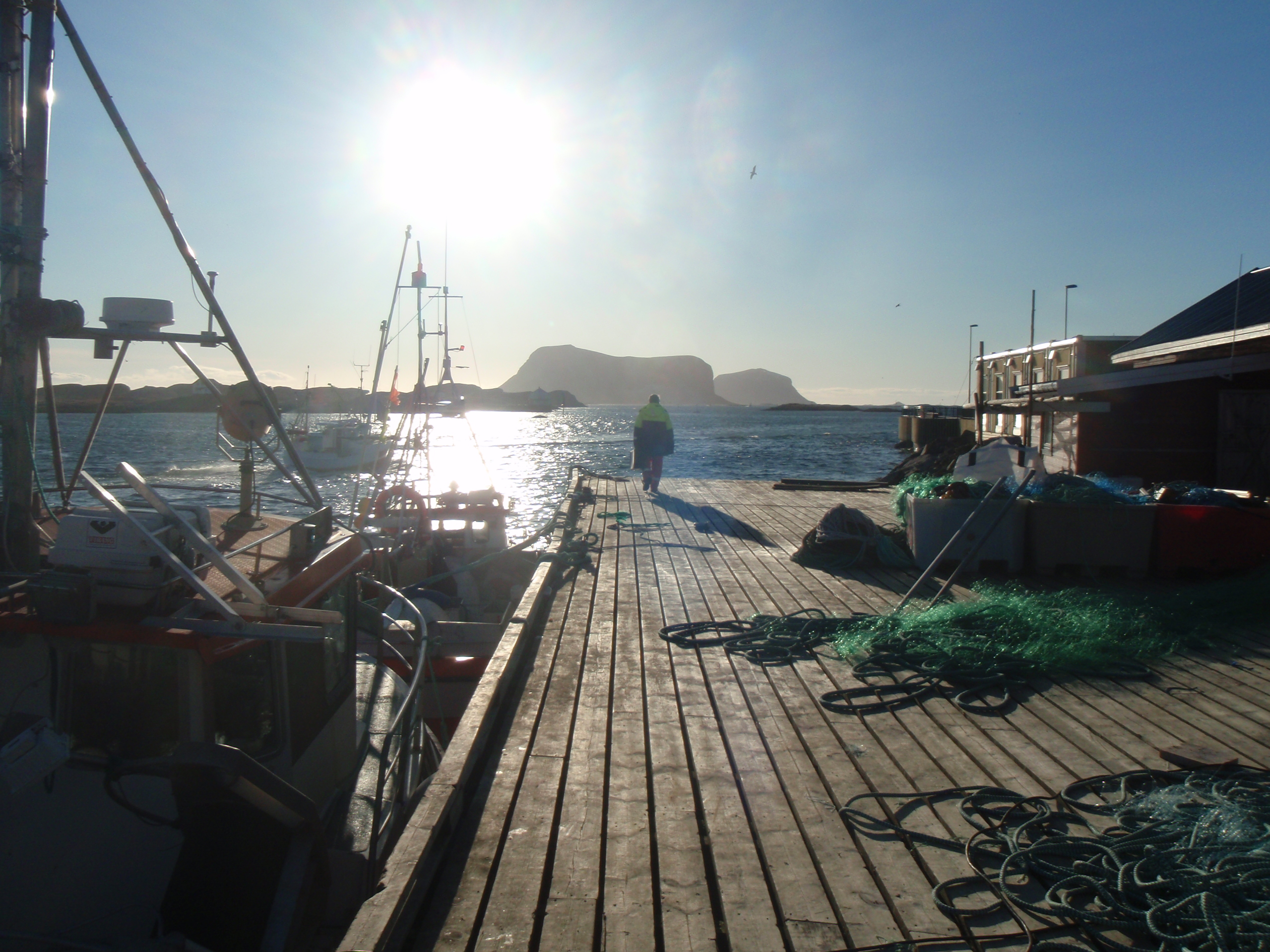 Rask omstilling sikret sjømatnæringen under pandemien