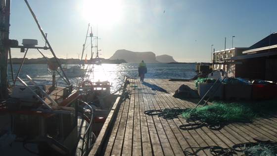 Rask omstilling sikret sjømatnæringen under pandemien