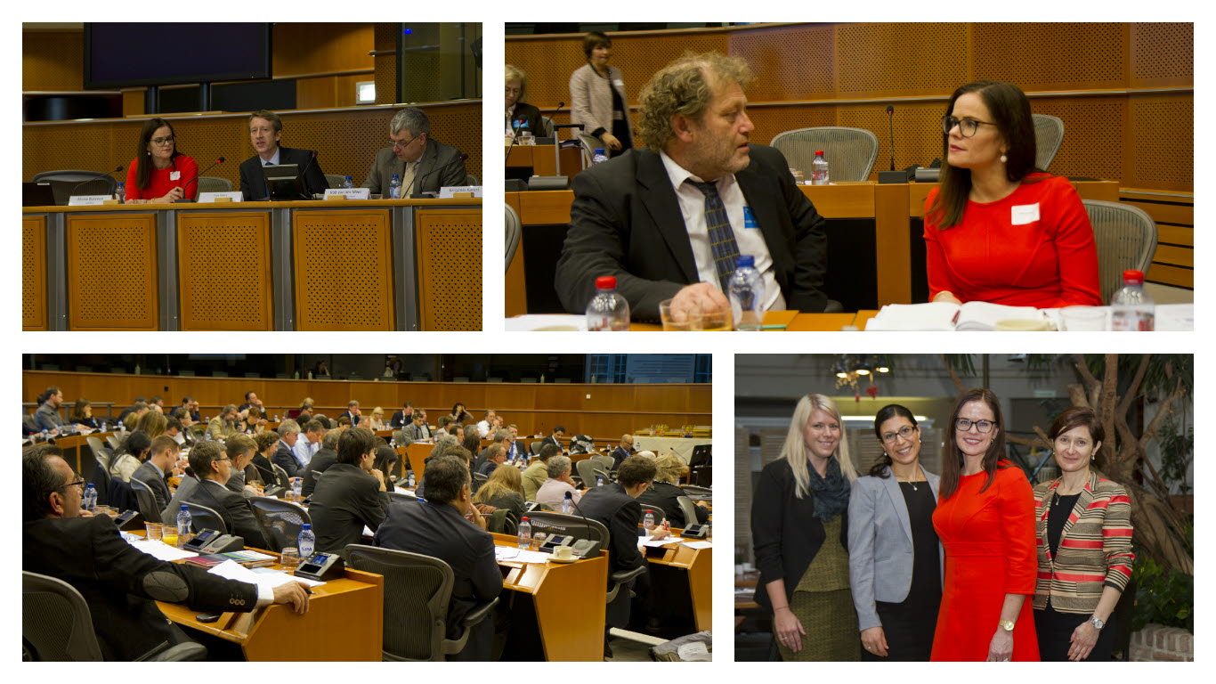 CCS EU Parliament hearing november 2015