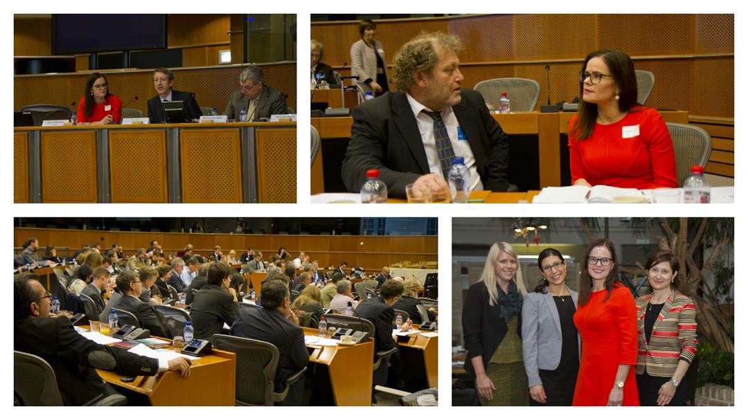 CCS EU Parliament hearing november 2015
