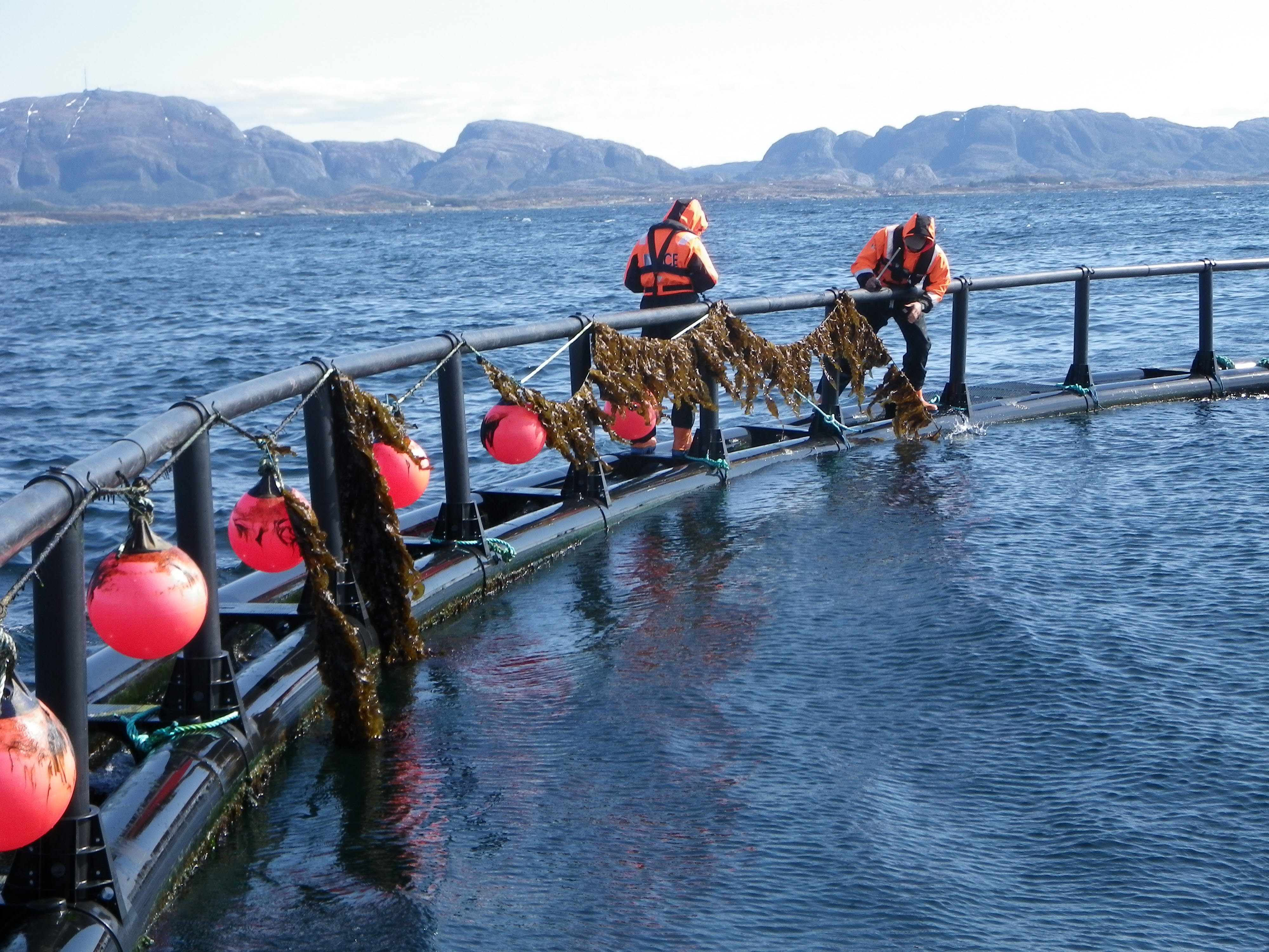 Value created from productive oceans in 2050